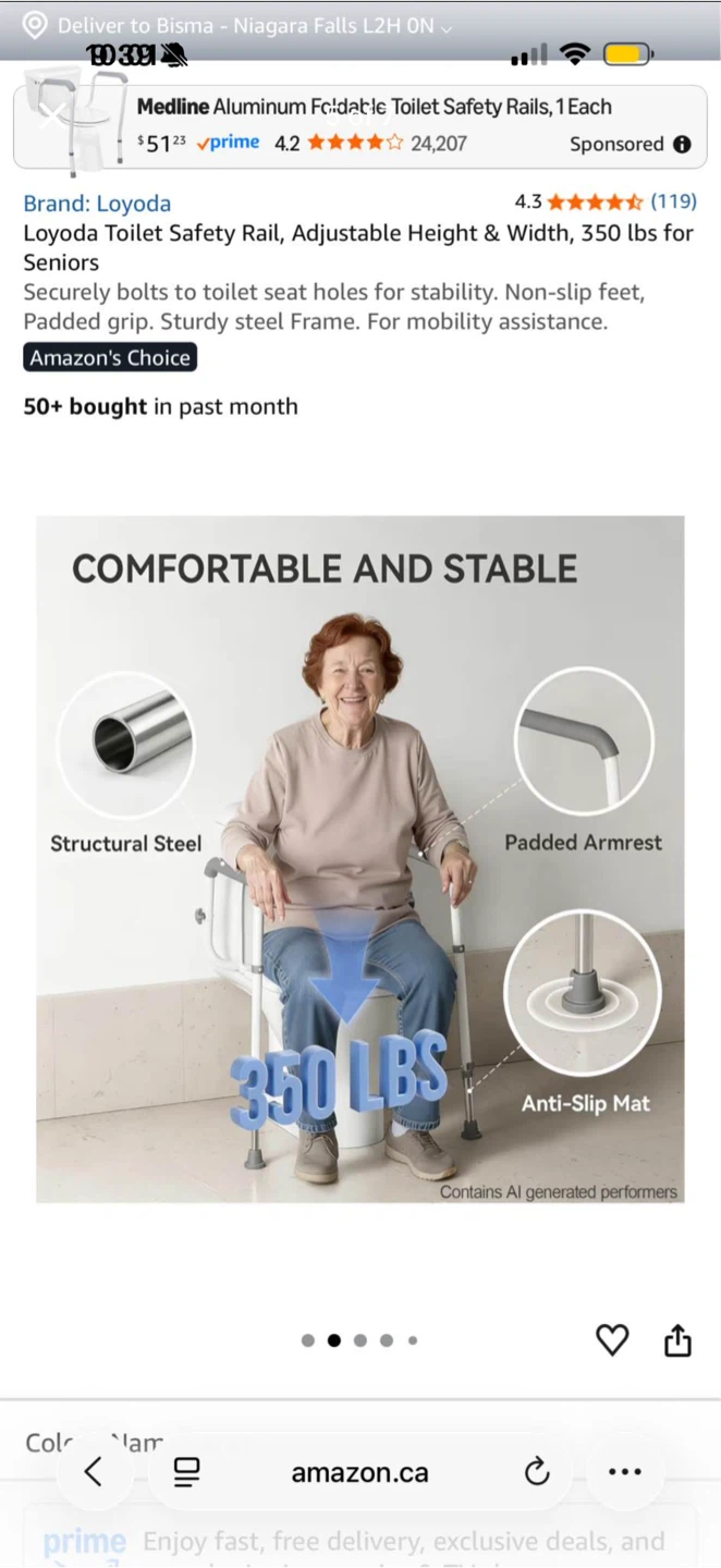 Loyoda Toilet Safety Rail - photo 5