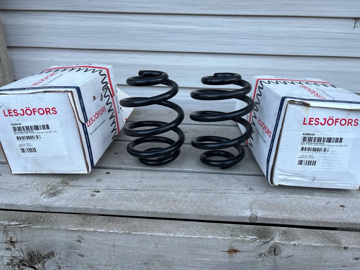 Lesjöfors (Swedish Steel) BMW E46 Rear Coil Springs (#4208434)