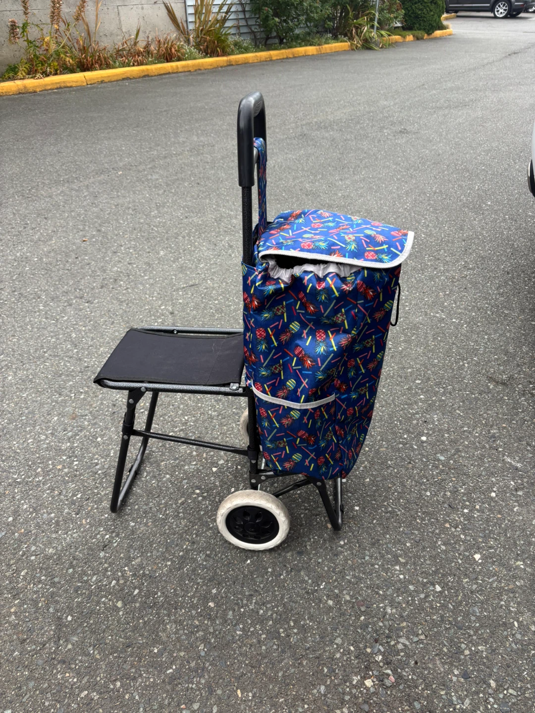 Shopping carts