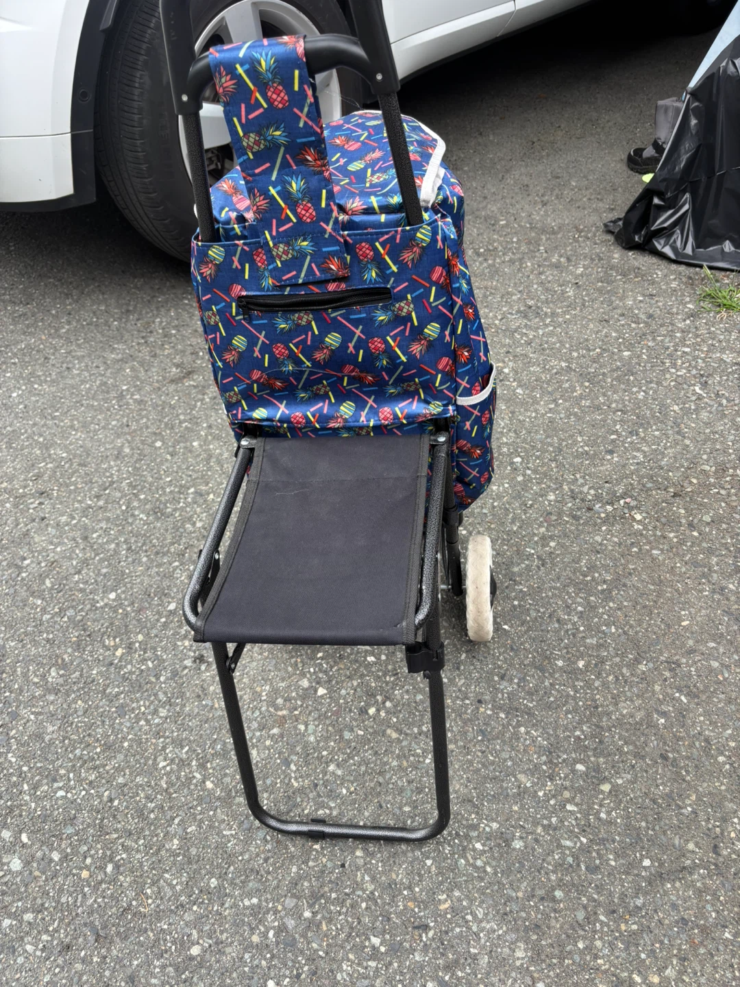 Shopping carts - photo 2
