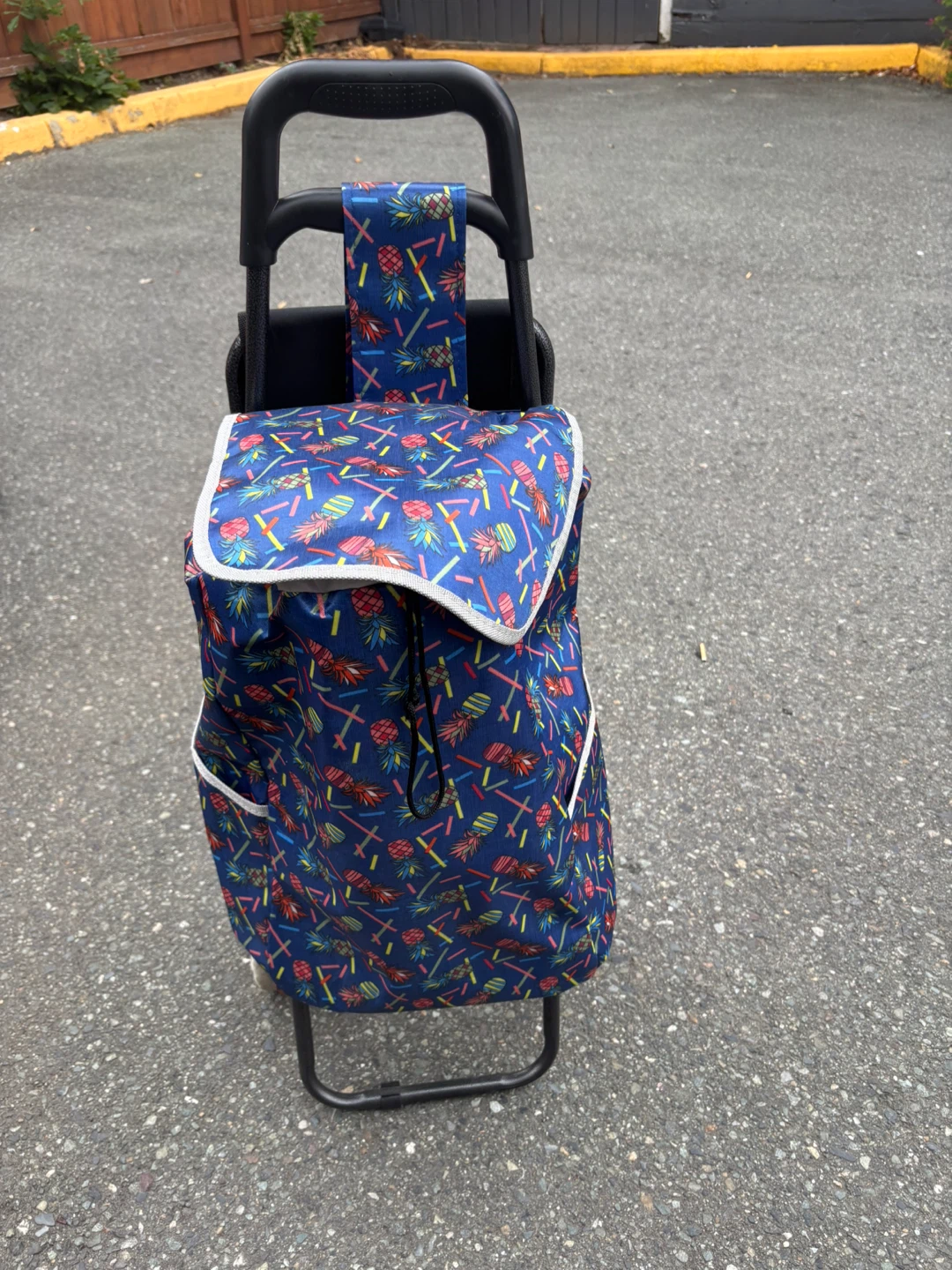 Shopping carts - photo 5