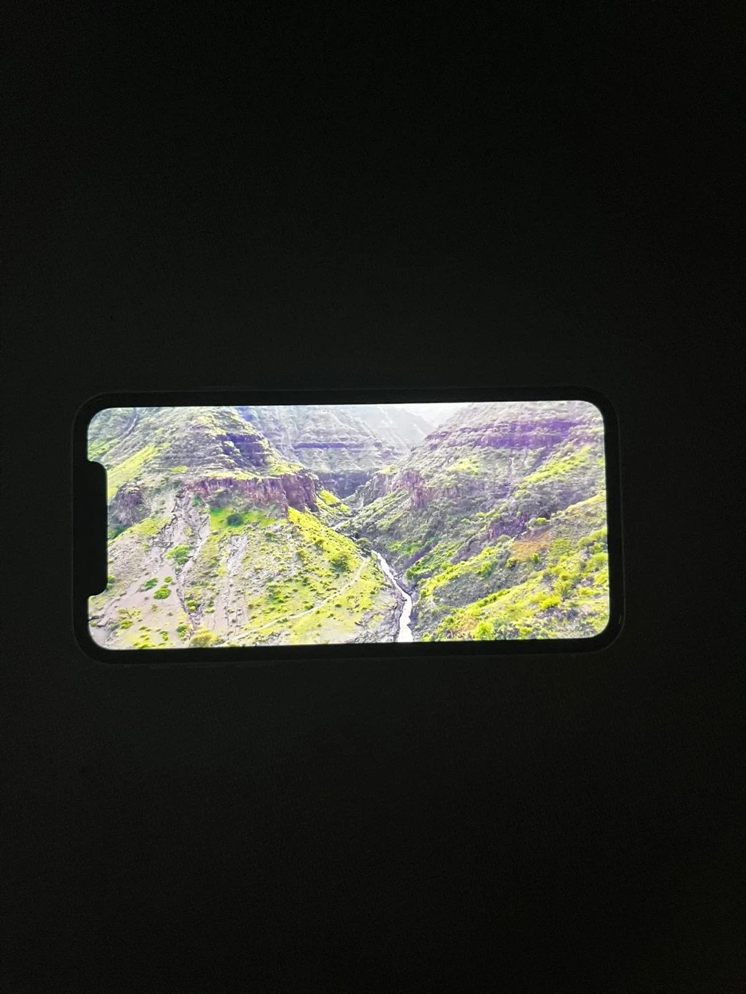 IPhone 11 - photo 2
