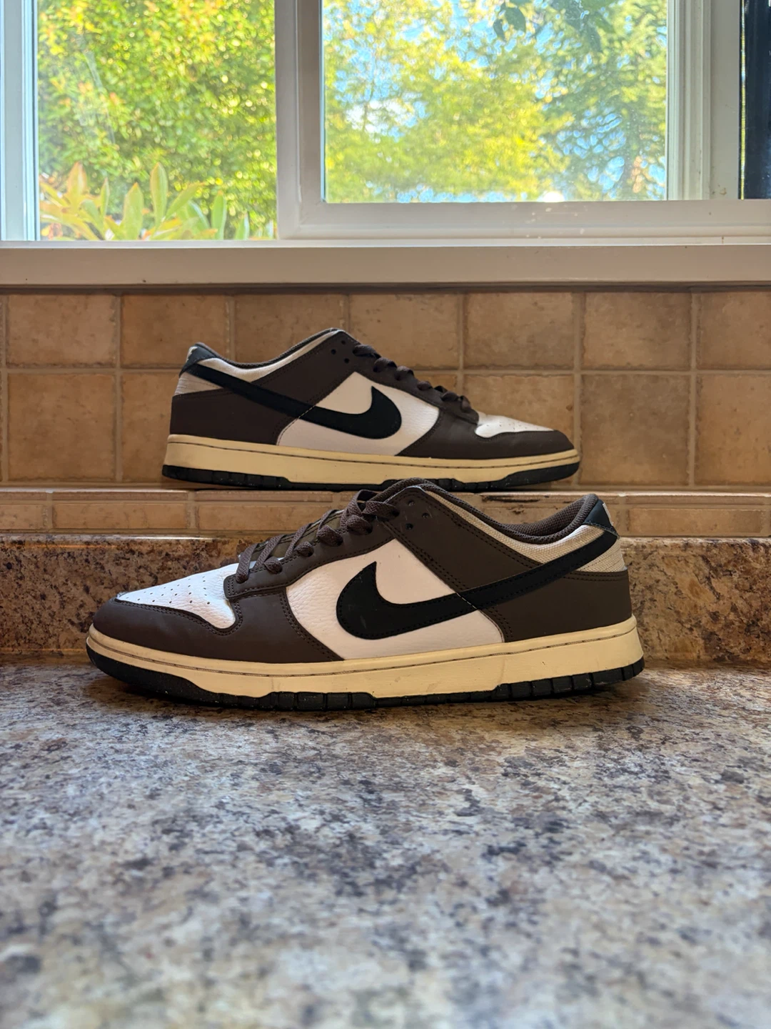 Nike Dunk Low Chocolate Sneakers
