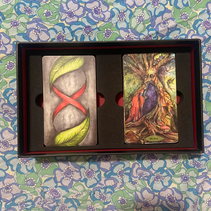 Bonestone and Earthflesh tarot - photo 2