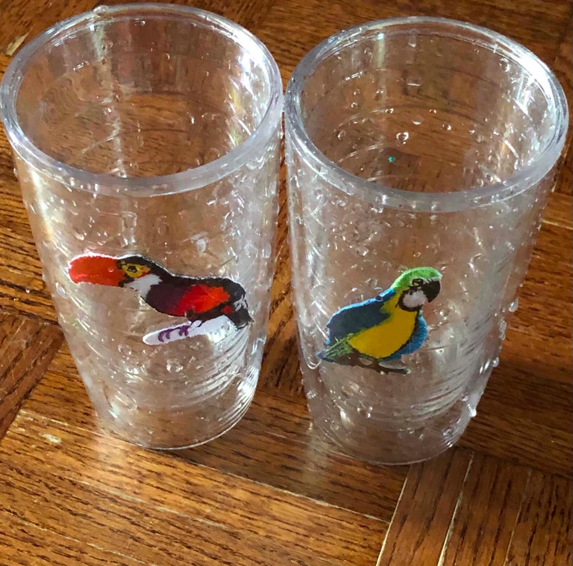 Set of 2 Tervis Tumblers with Tropical Birds
