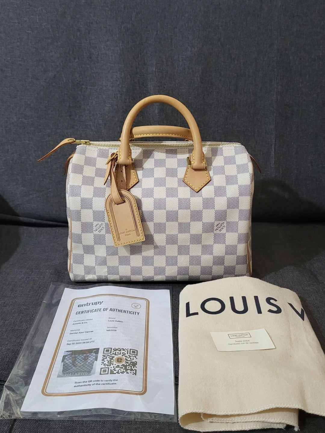 Louis Vuitton Speedy 25 Azur