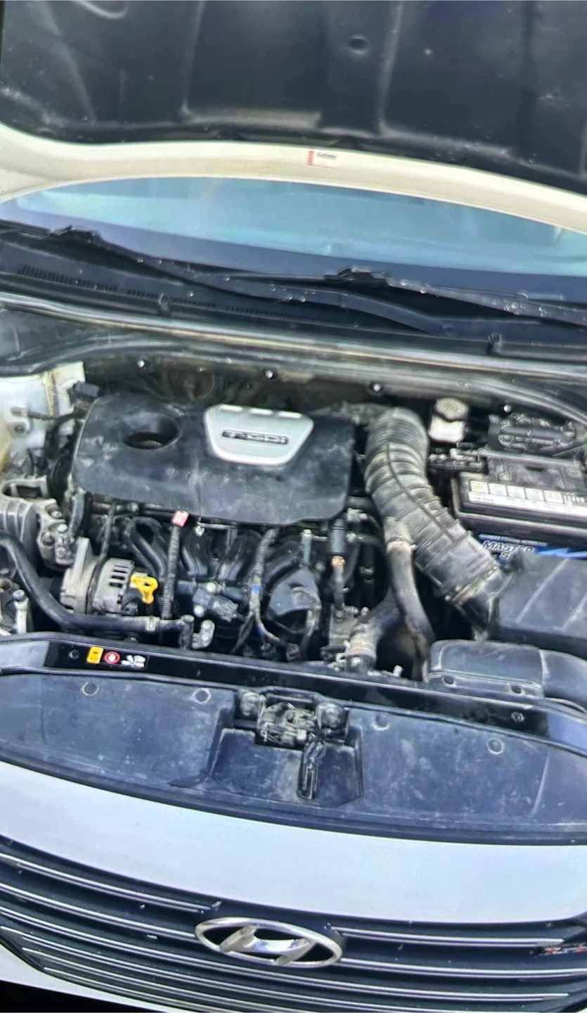 Hyundai Elantra Sport Sedan - photo 5