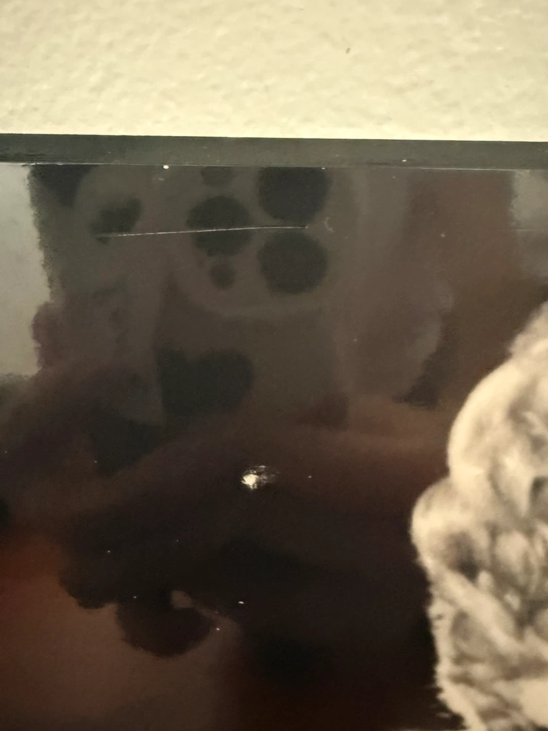 Marilyn Monroe Framed print - photo 2