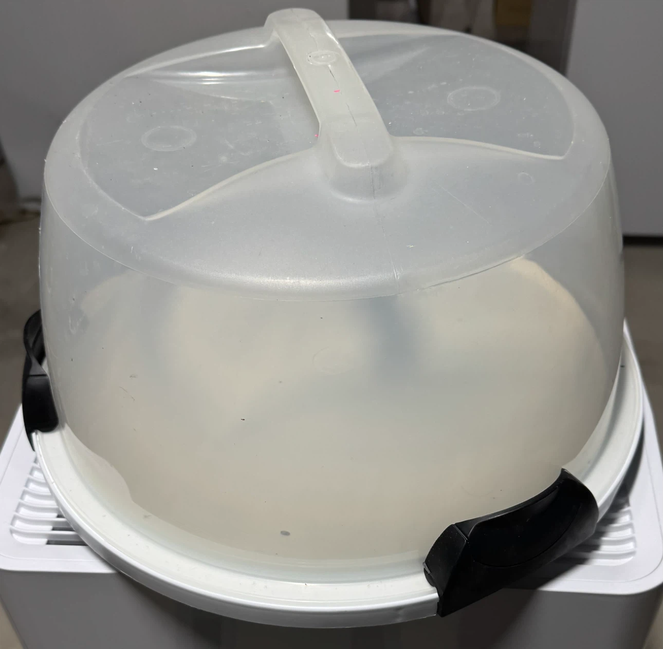 Clear Plastic Cake Carrier with Handle