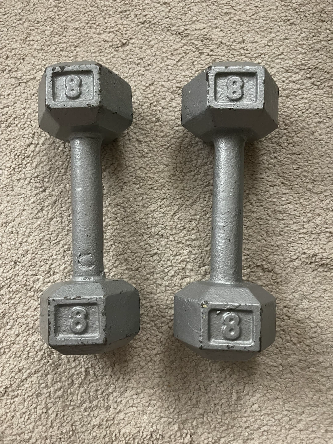 🌱 Pair of Grey/Silver Cast Iron Dumbbells - 8 LB Each