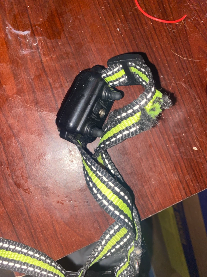 Pet Training Collar