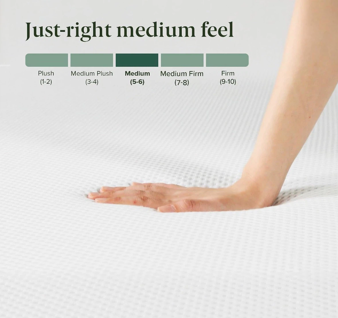 Zinus Queen Mattress + Bed Frame – $300 - photo 4