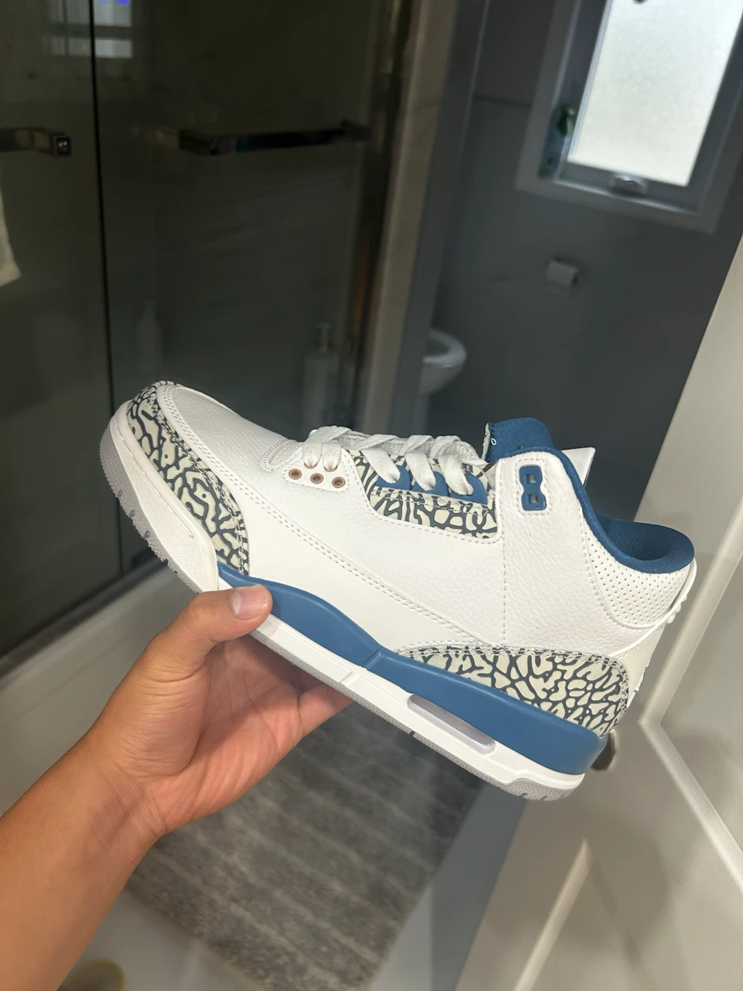 Jordan 3 Wizards