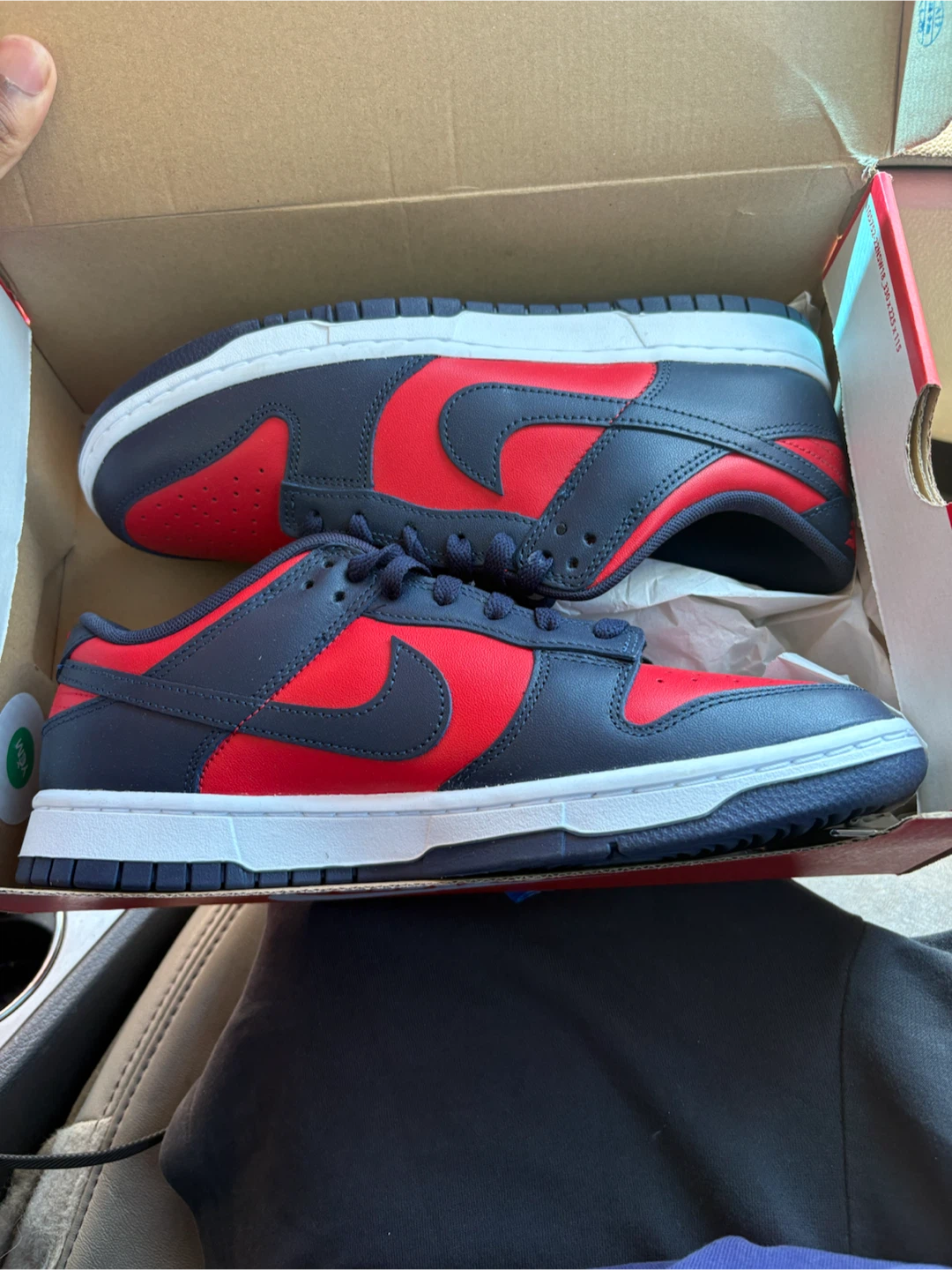 Nike Dunk Low Retro "University Red Obsidian" Size 10