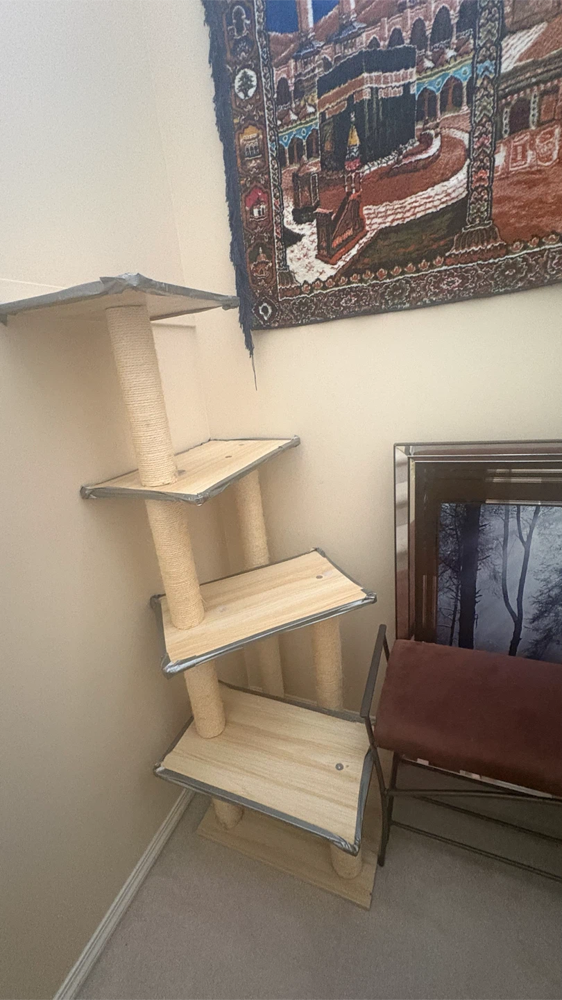 Multi-level cat tree with scratching posts Coral spring ne
