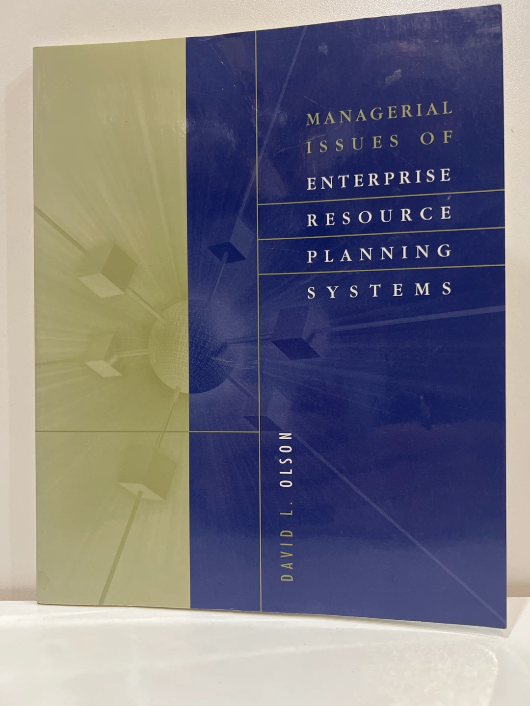 Managerial Issues of Enterprise Resource Planning Systems