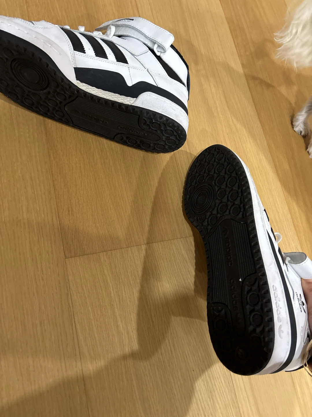 Adidas Forum Mid Top Sneakers - White/Black - photo 2