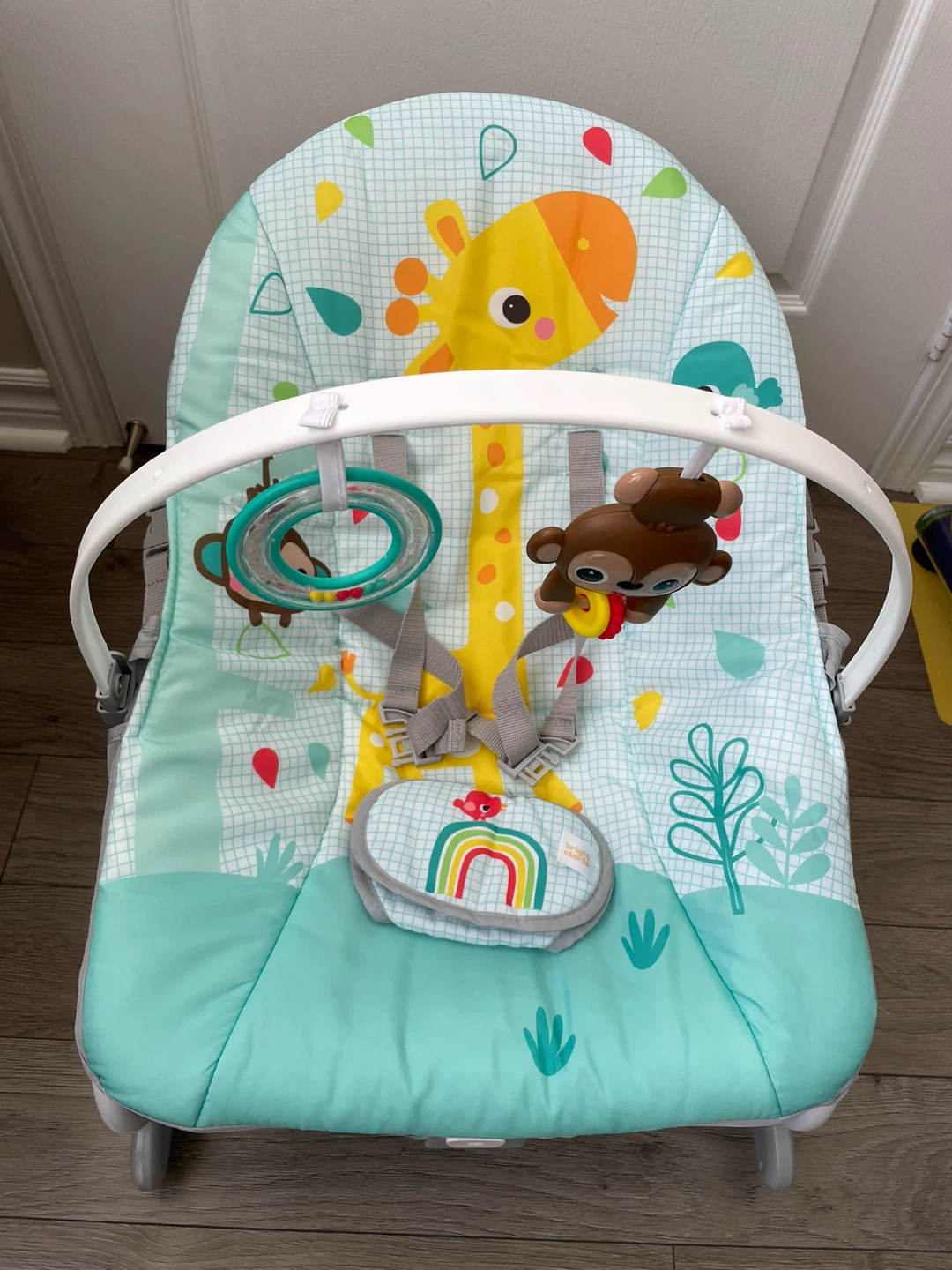 Bright Starts Giraffe Baby Bouncer