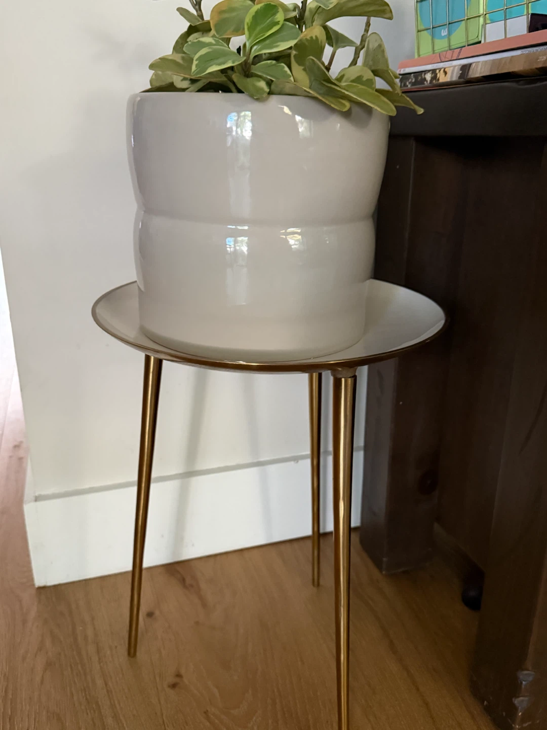 White Ceramic Plant Pot with gold Accent Stand