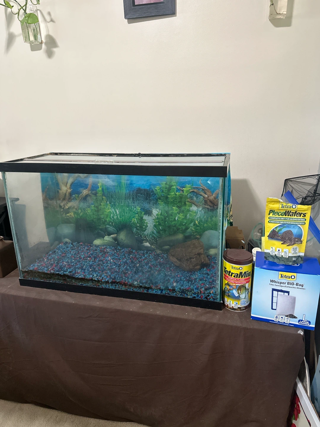 Aquarium Setup with Fish Food and Filters