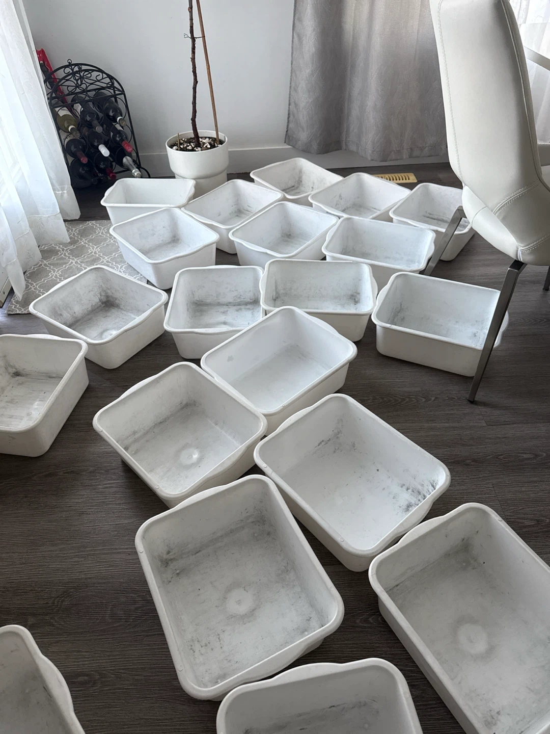 Planthood Dish Pans - photo 2