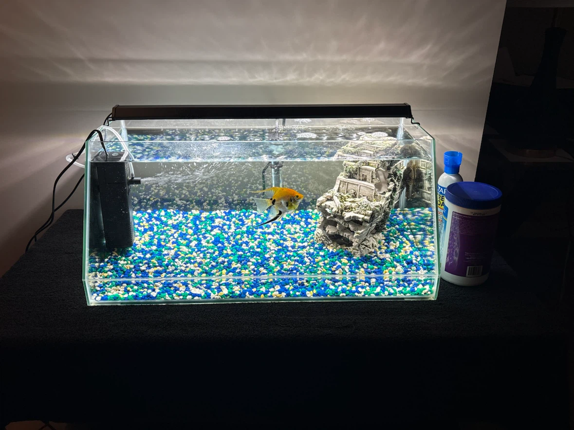 Top Fin 10-Gallon Angled View Tank with Box & Light – $45 Firm - photo 4