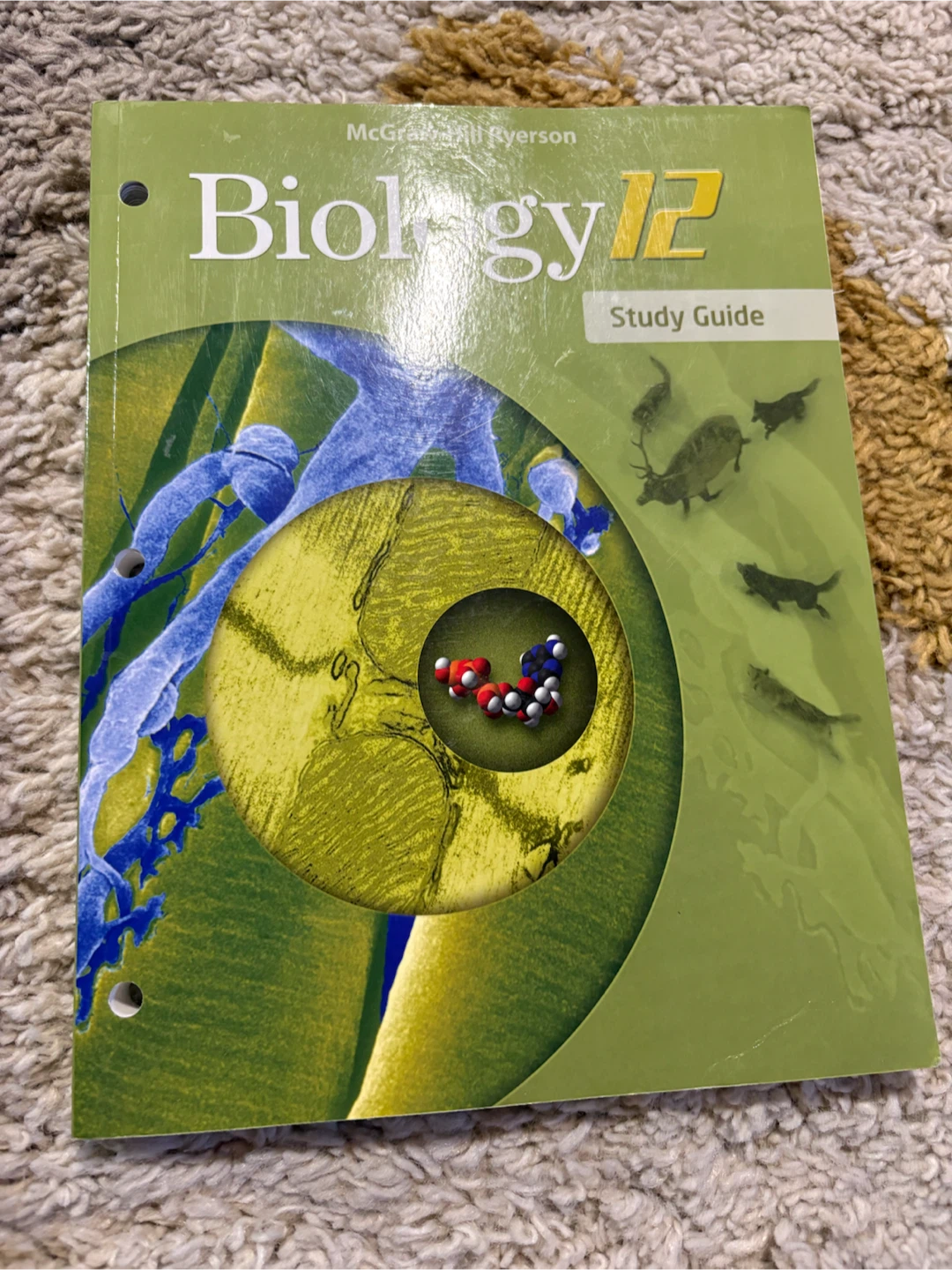 Biology 12 Study Guide