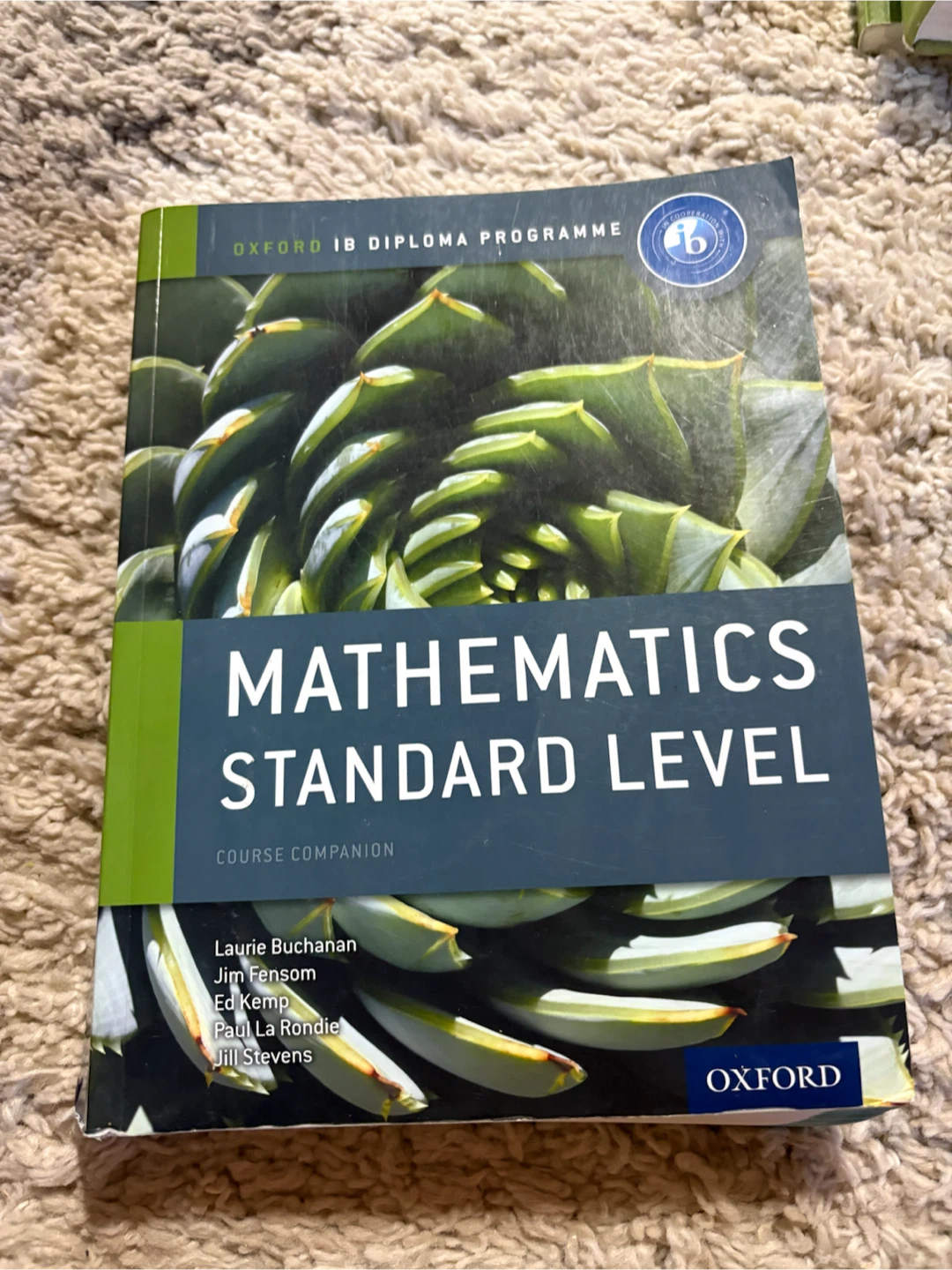Mathematics Standard  Level IB Diploma