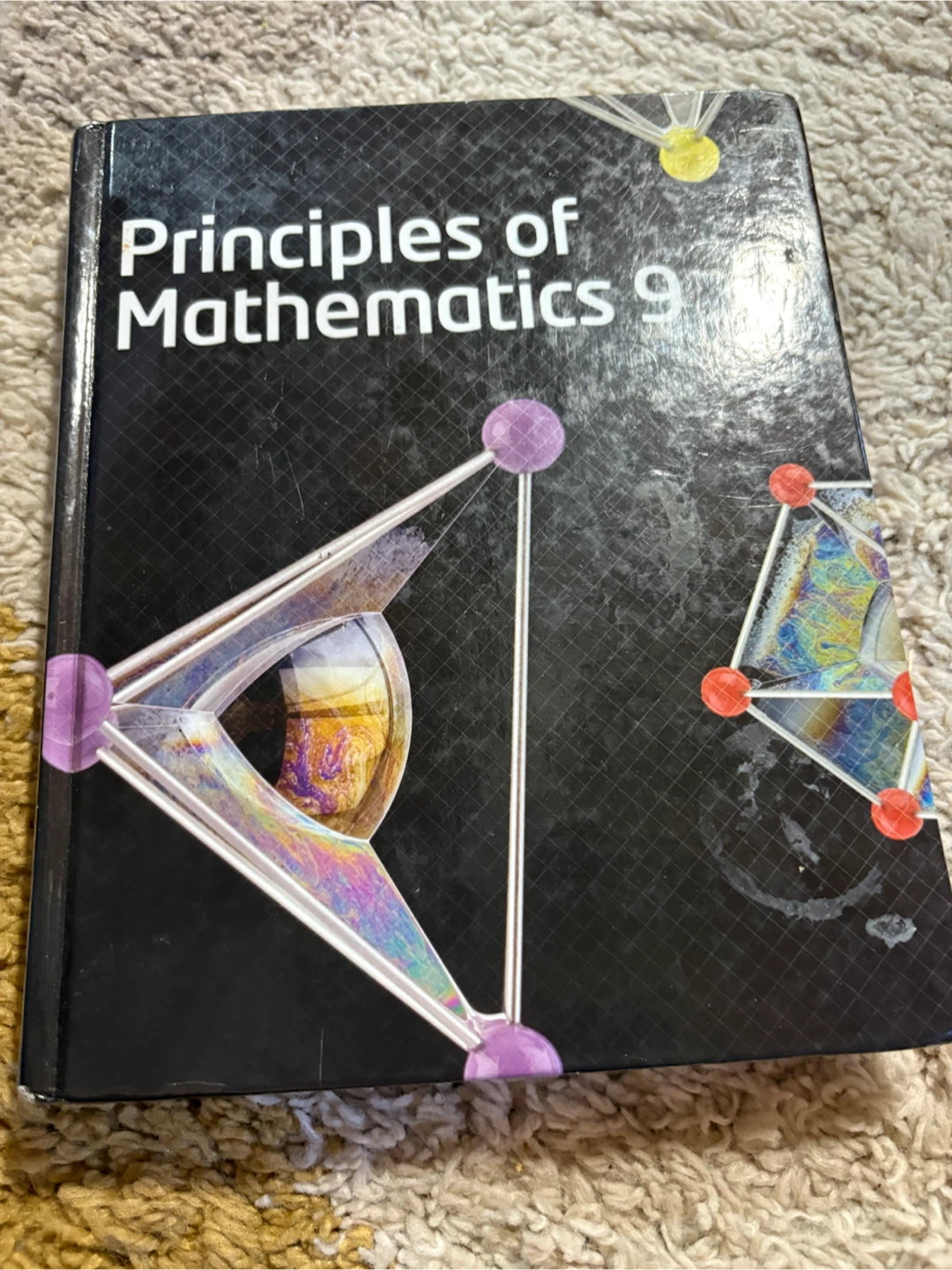 Principles of Mathematics 9 Textbook