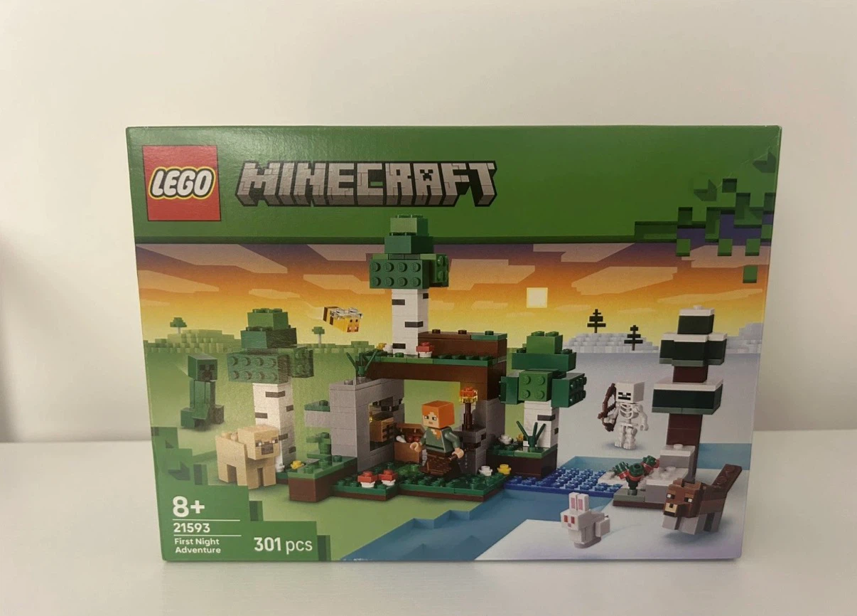 LEGO Minecraft First Night Adventure Set 21593