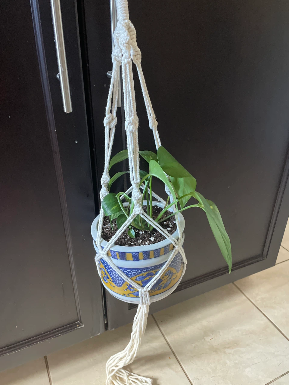 Pothos Plant in Decorative Pot with Macrame Hanger - photo 2