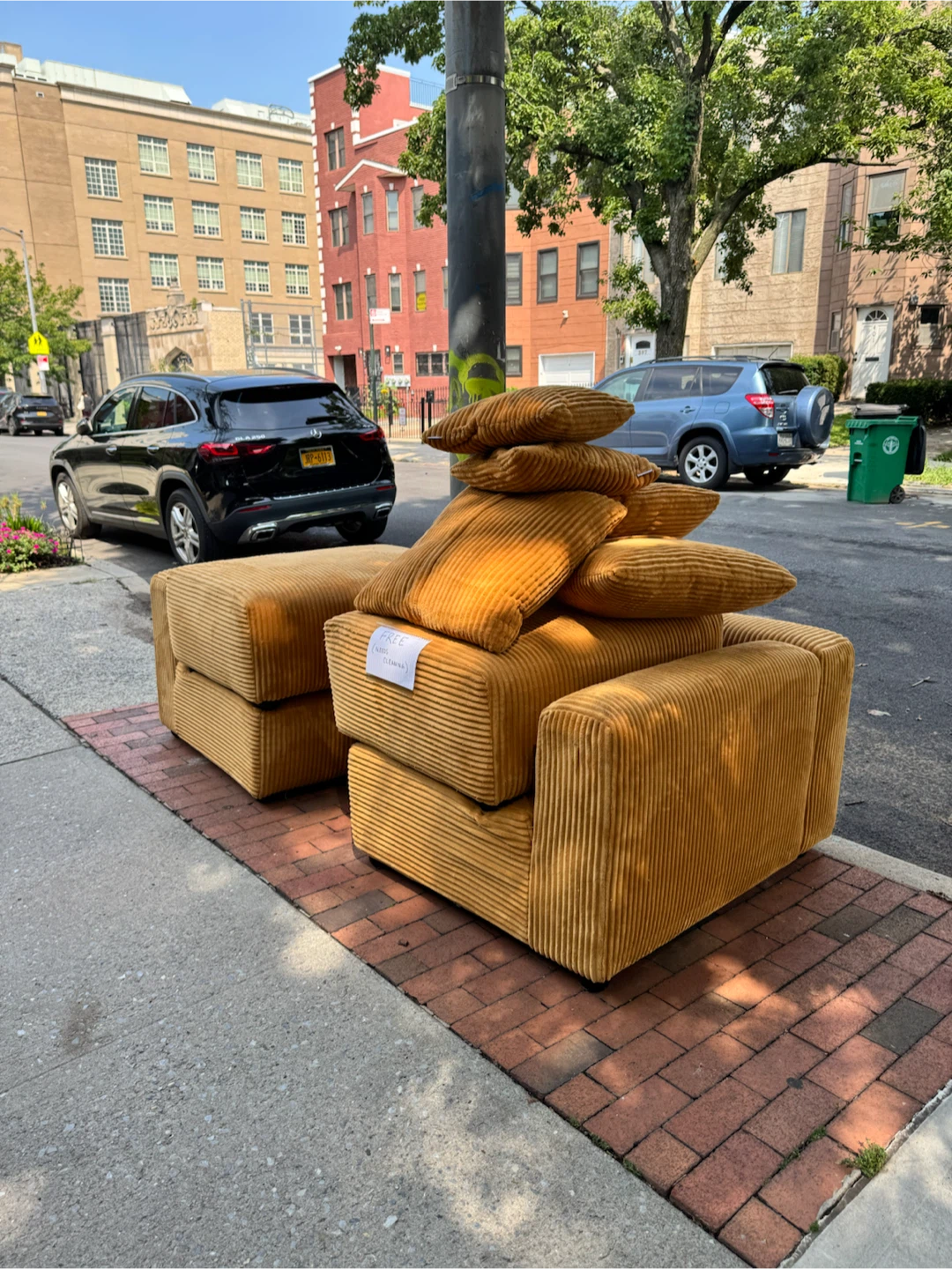 Velvet Armchair and Ottoman Set- curbside