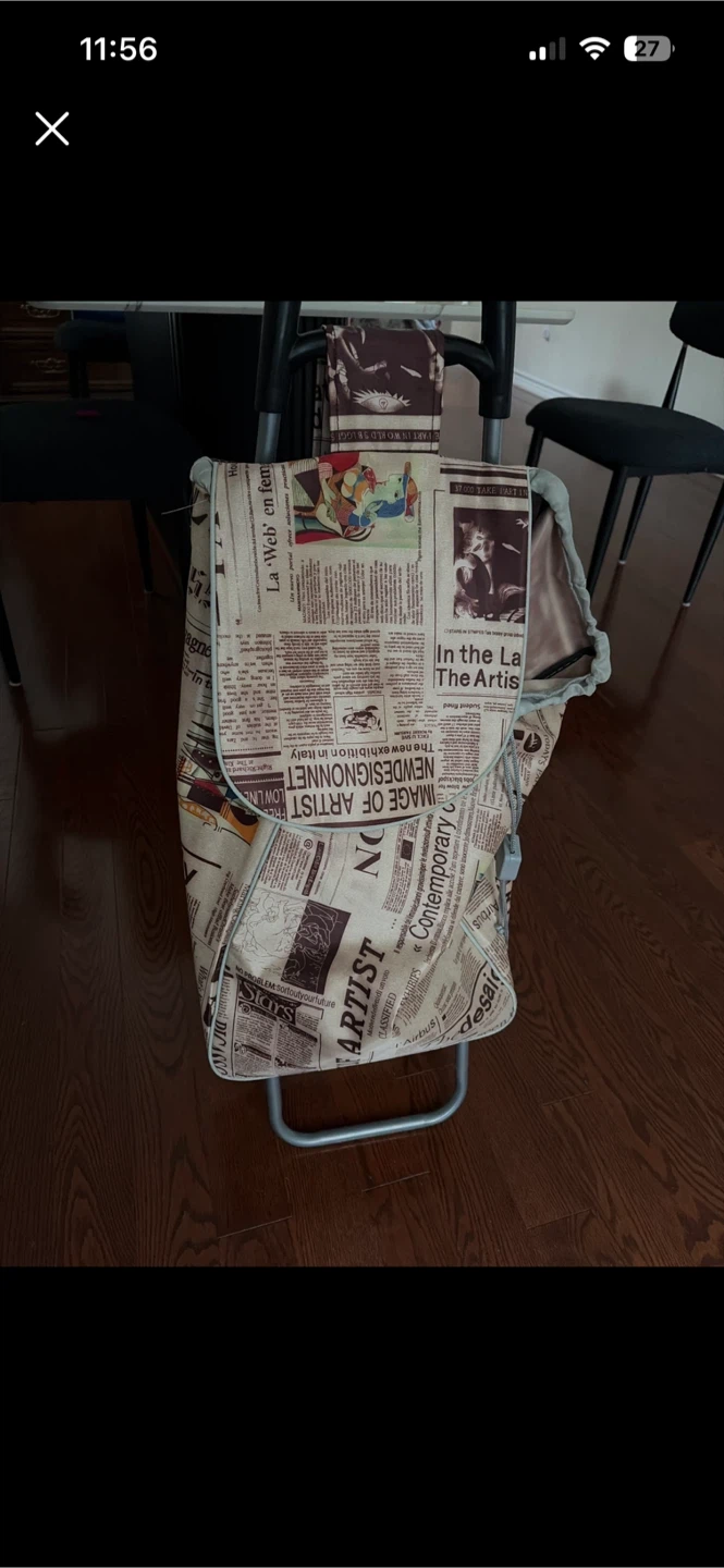 Shopping Cart with Newspaper Print Design
