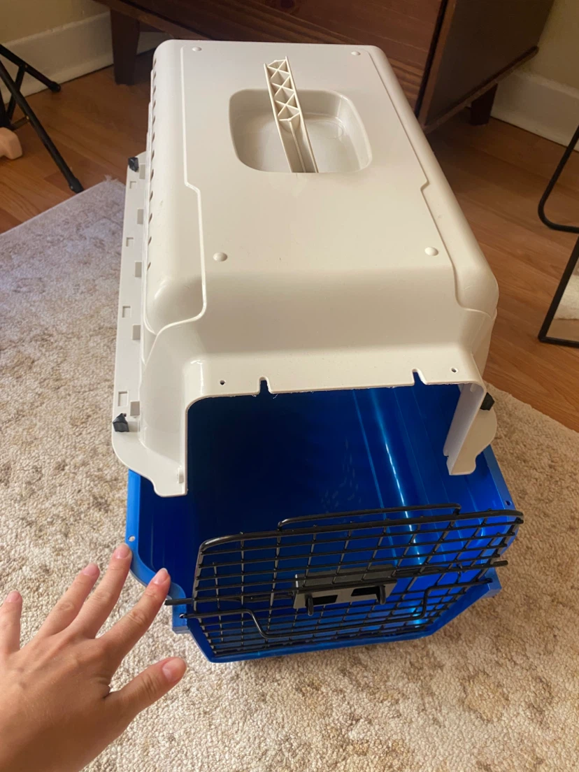 Pet Carrier