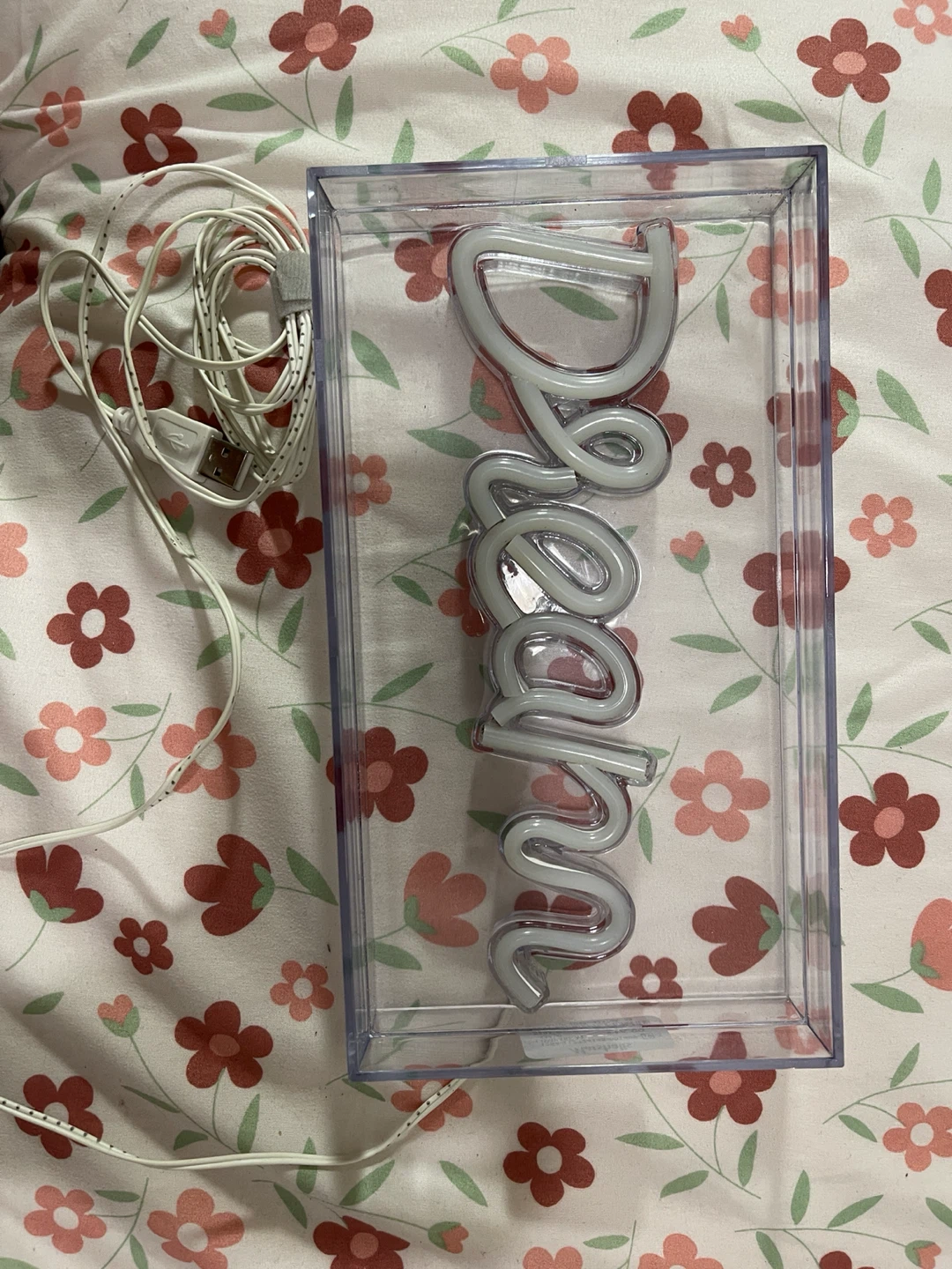 Neon "Dream" Light Sign