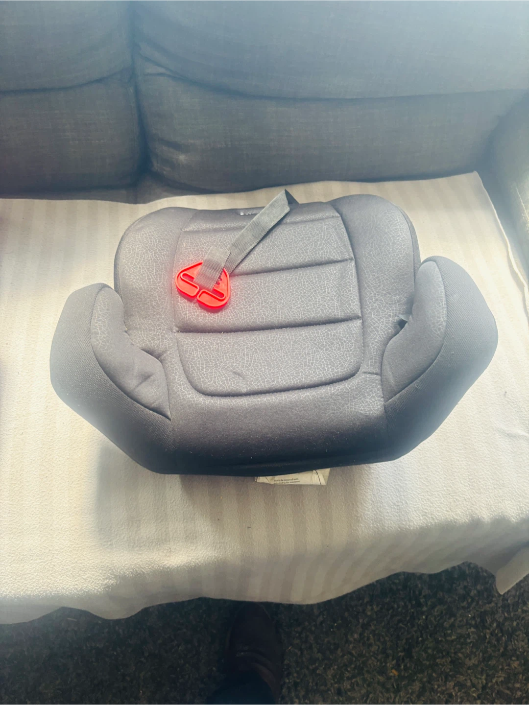 Harmony Booster Car Seat - photo 2