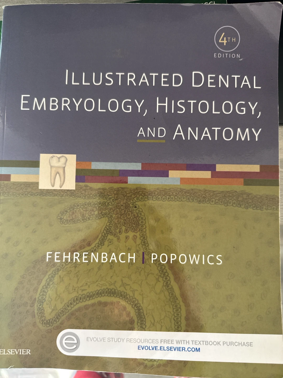 Illustrated Dental Embryology, Histology, and Anatomy