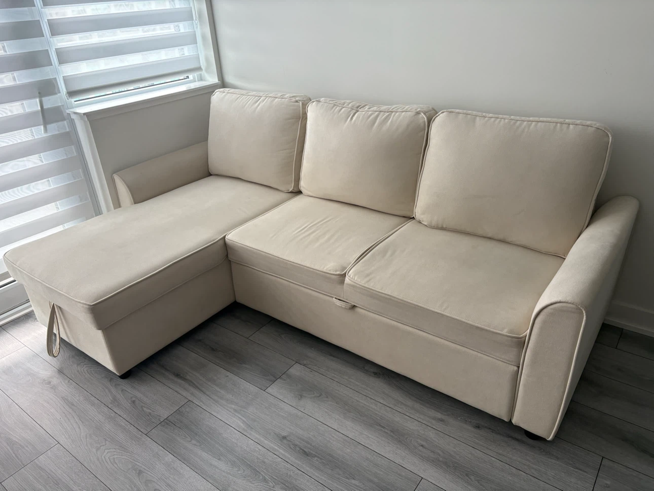 STRUCTUBE Sofa Bed – Like New
