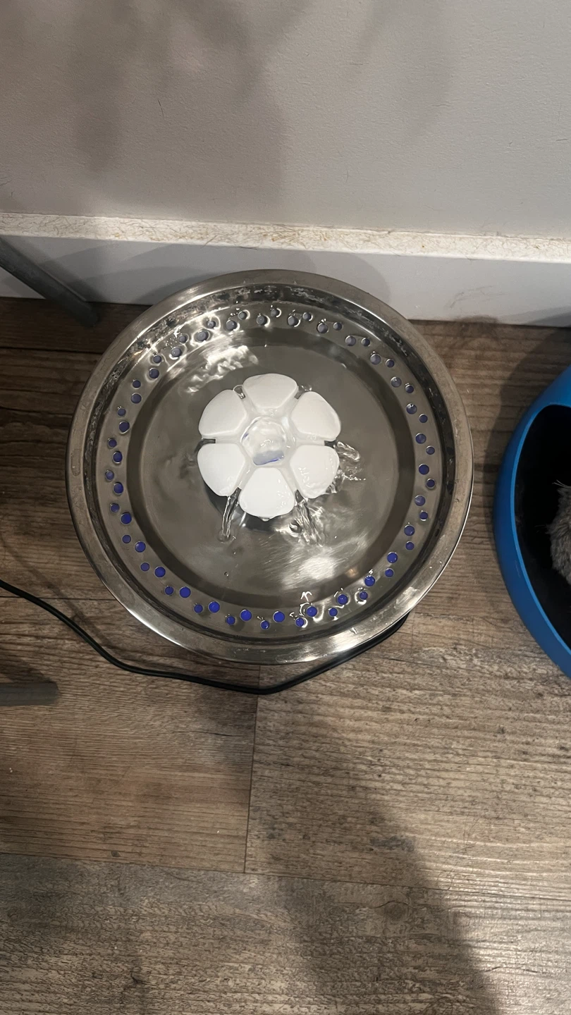 Parner White Cat Water Fountain 81oz/2.4L