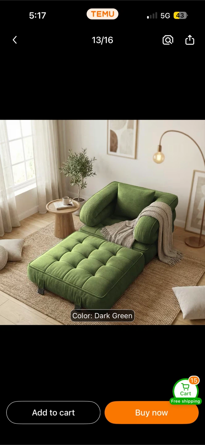 Folding Couch