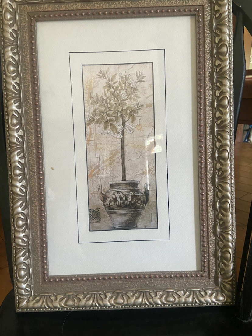 Framed Art Print of a Tree in a Pot