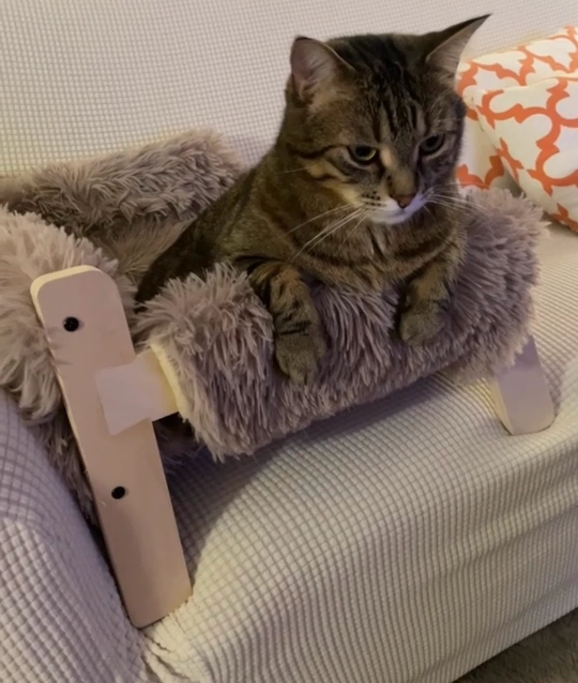 Mewoofun Haven Elevated Cat & Dog Bed - photo 4