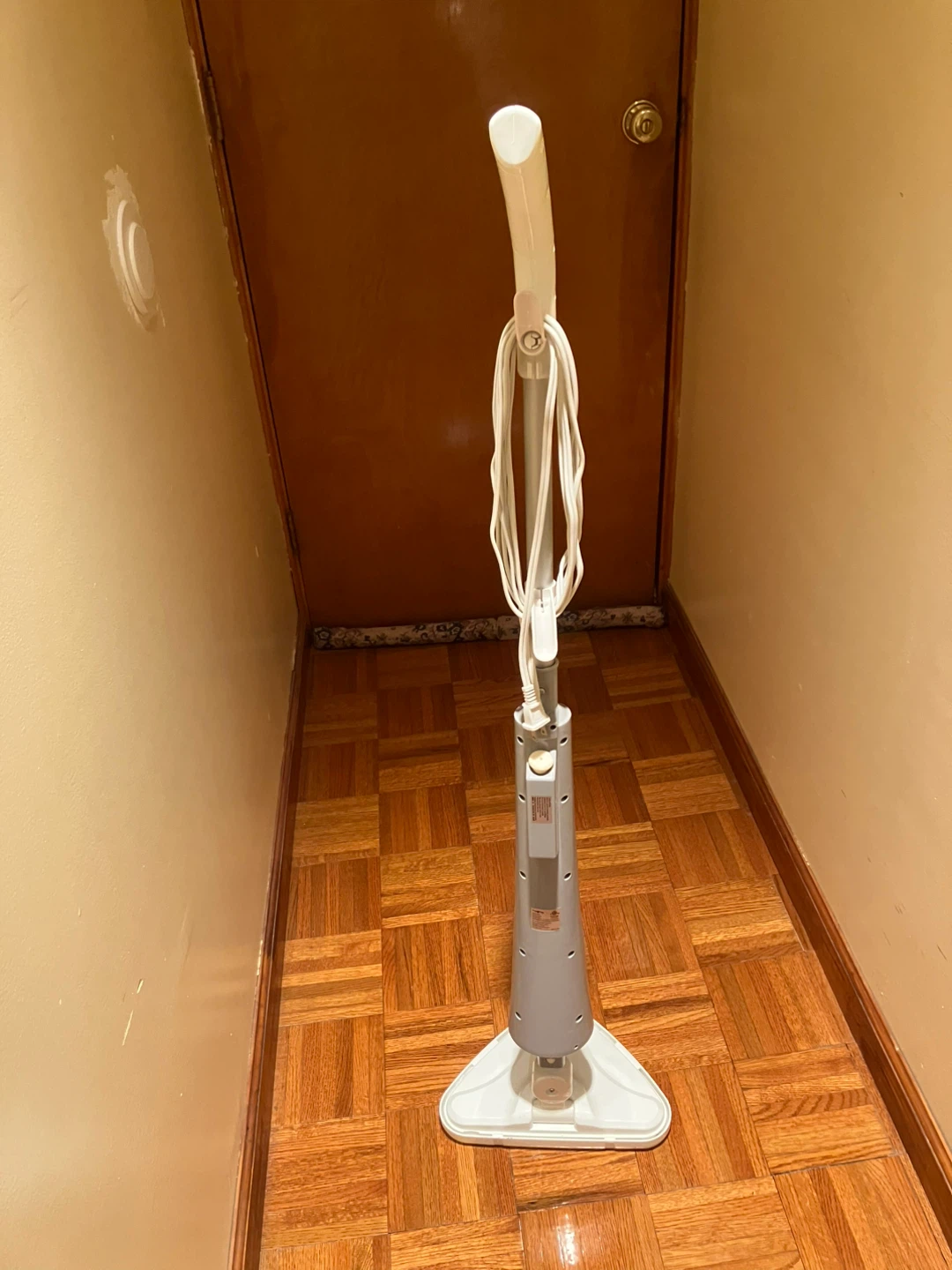 True & Tidy Steam Mop