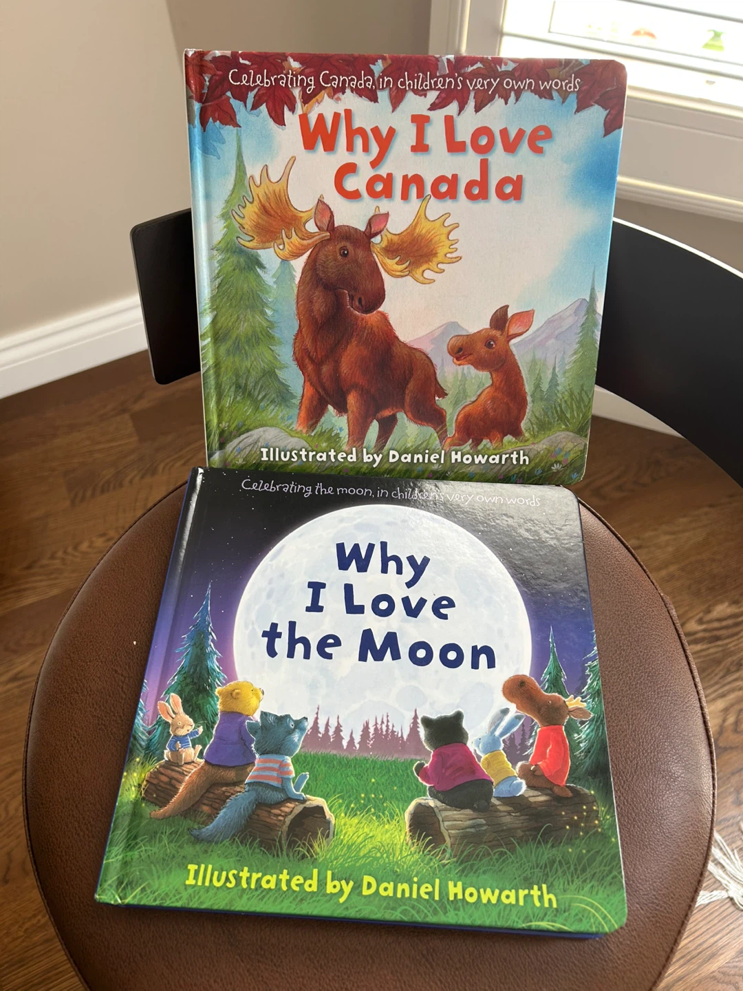 2 GREAT KIDS BOARD BOOKS FOR $10 (READ LISTING)