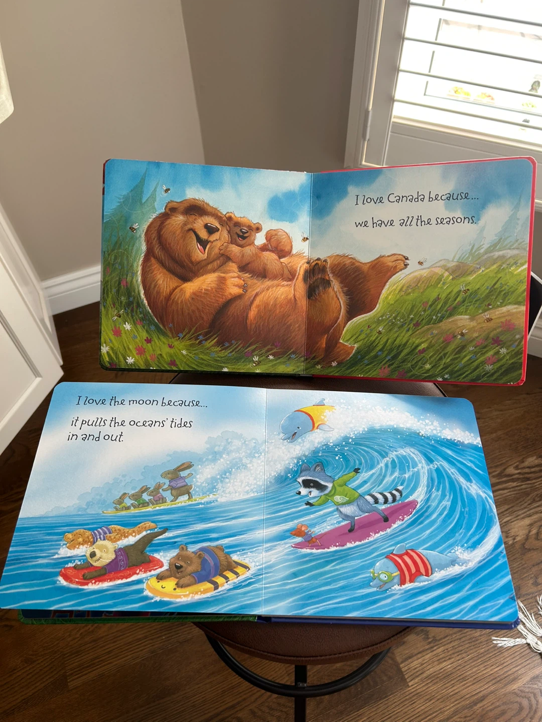 2 GREAT KIDS BOARD BOOKS FOR $10 (READ LISTING) - photo 3