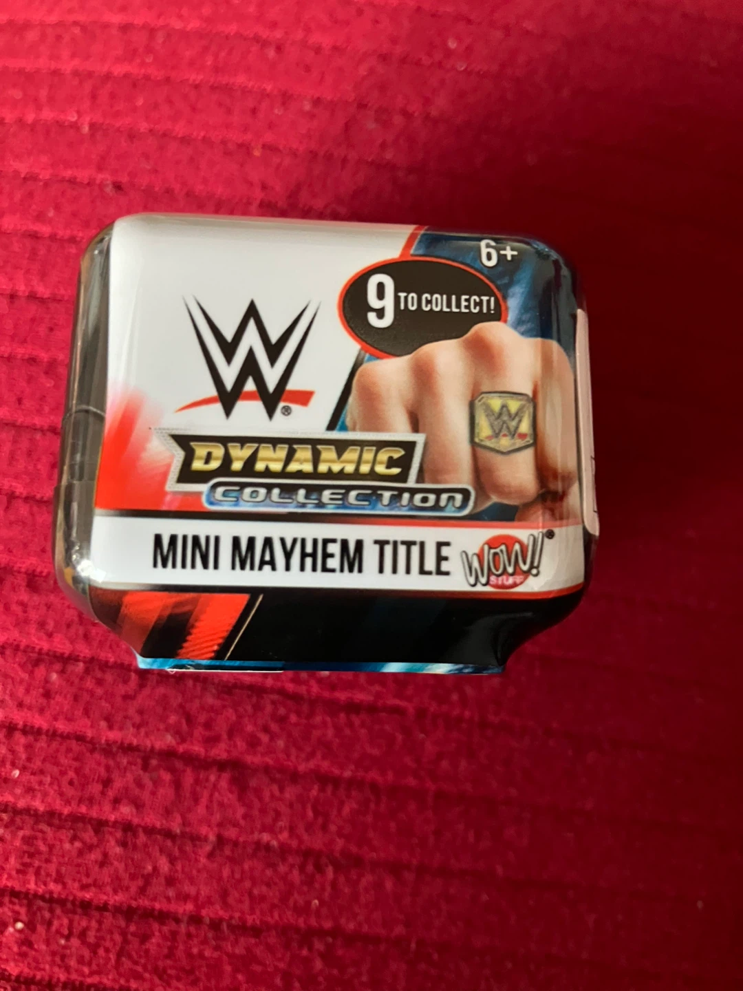 WWE Dynamic Collection Mini Mayhem Title