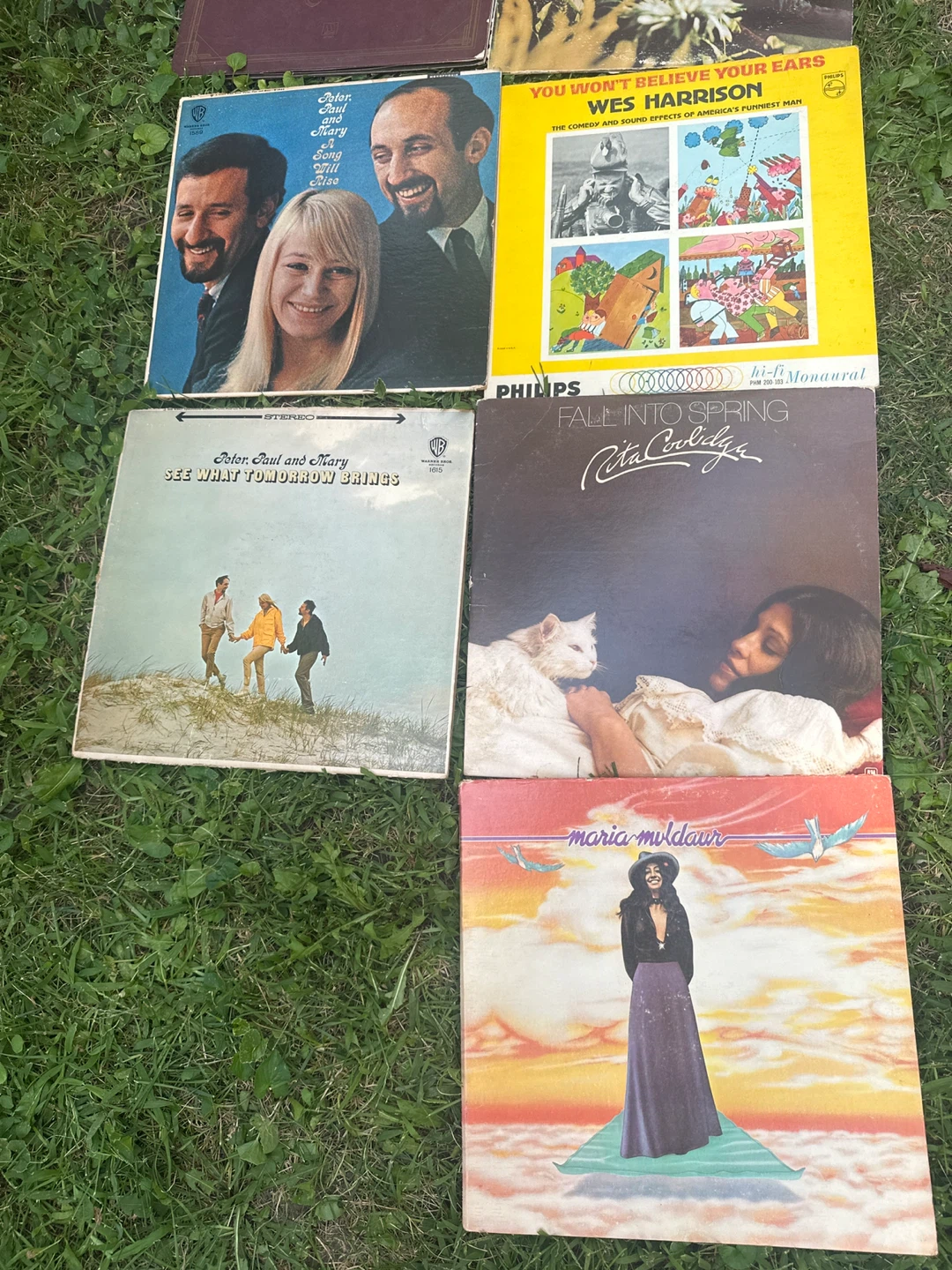 Collection of Vinyl Records - photo 2