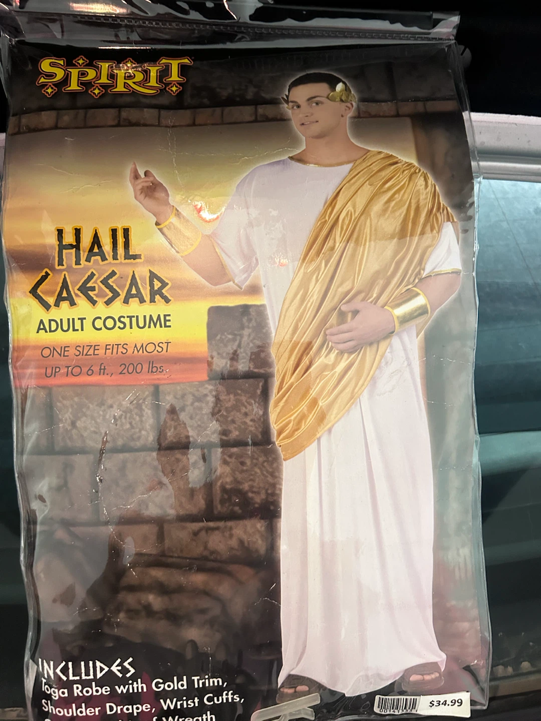 Spirit Halloween Hail Caesar Costume