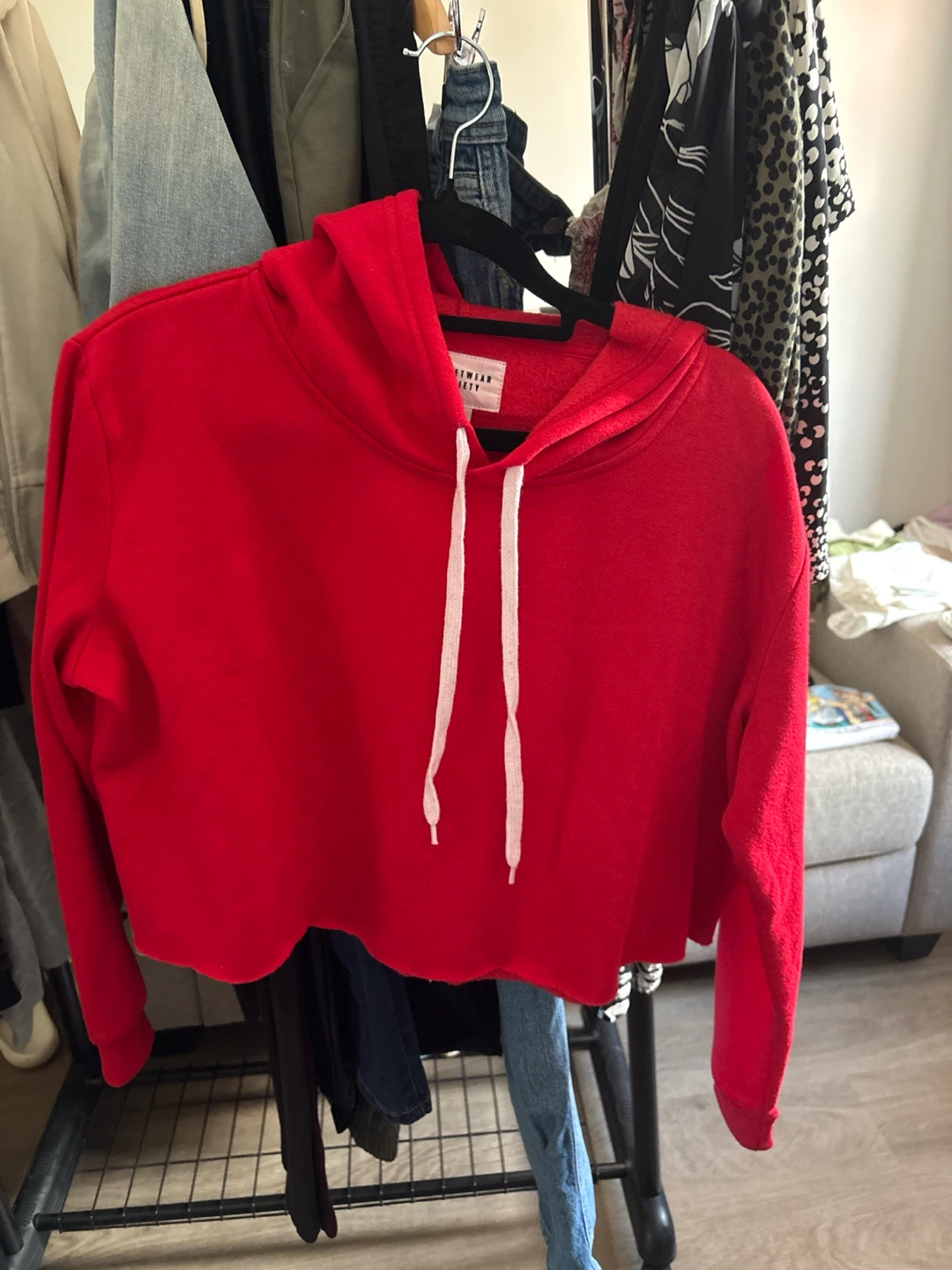 Streetwear Society Red Cropped Hoodie (Never worn)