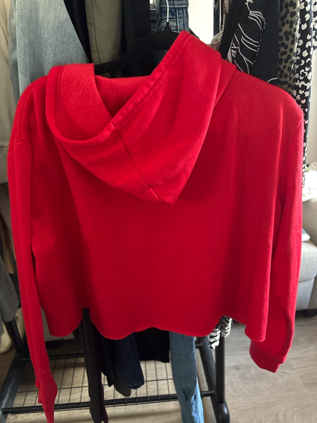 Streetwear Society Red Cropped Hoodie (Never worn) - photo 3